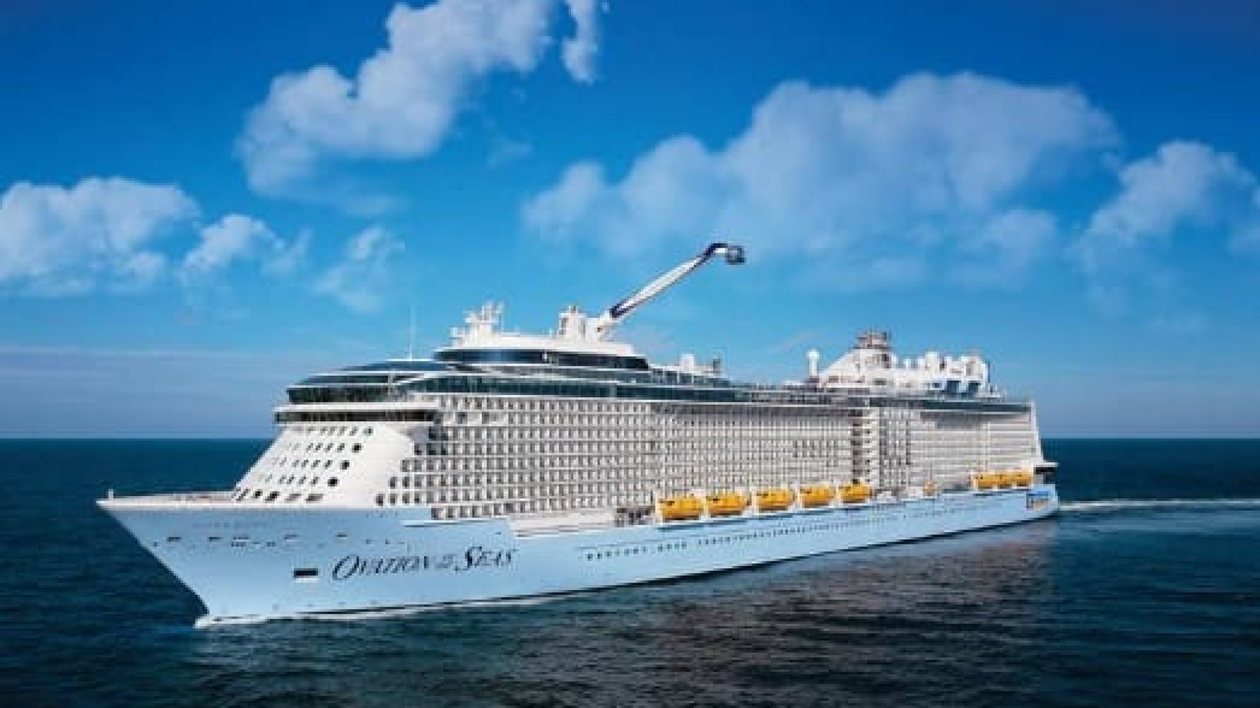 WhatsApp Image 2025-01-17 at 11.41.53