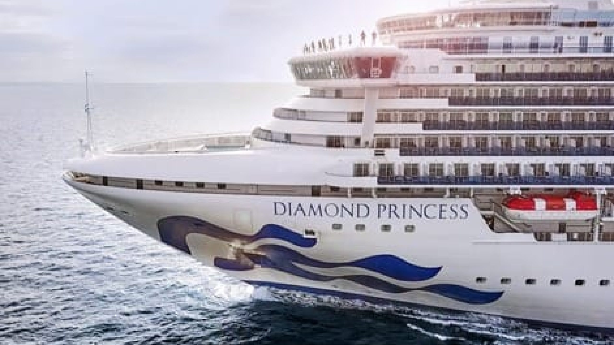 WhatsApp Image 2025-01-17 at 11.56.33