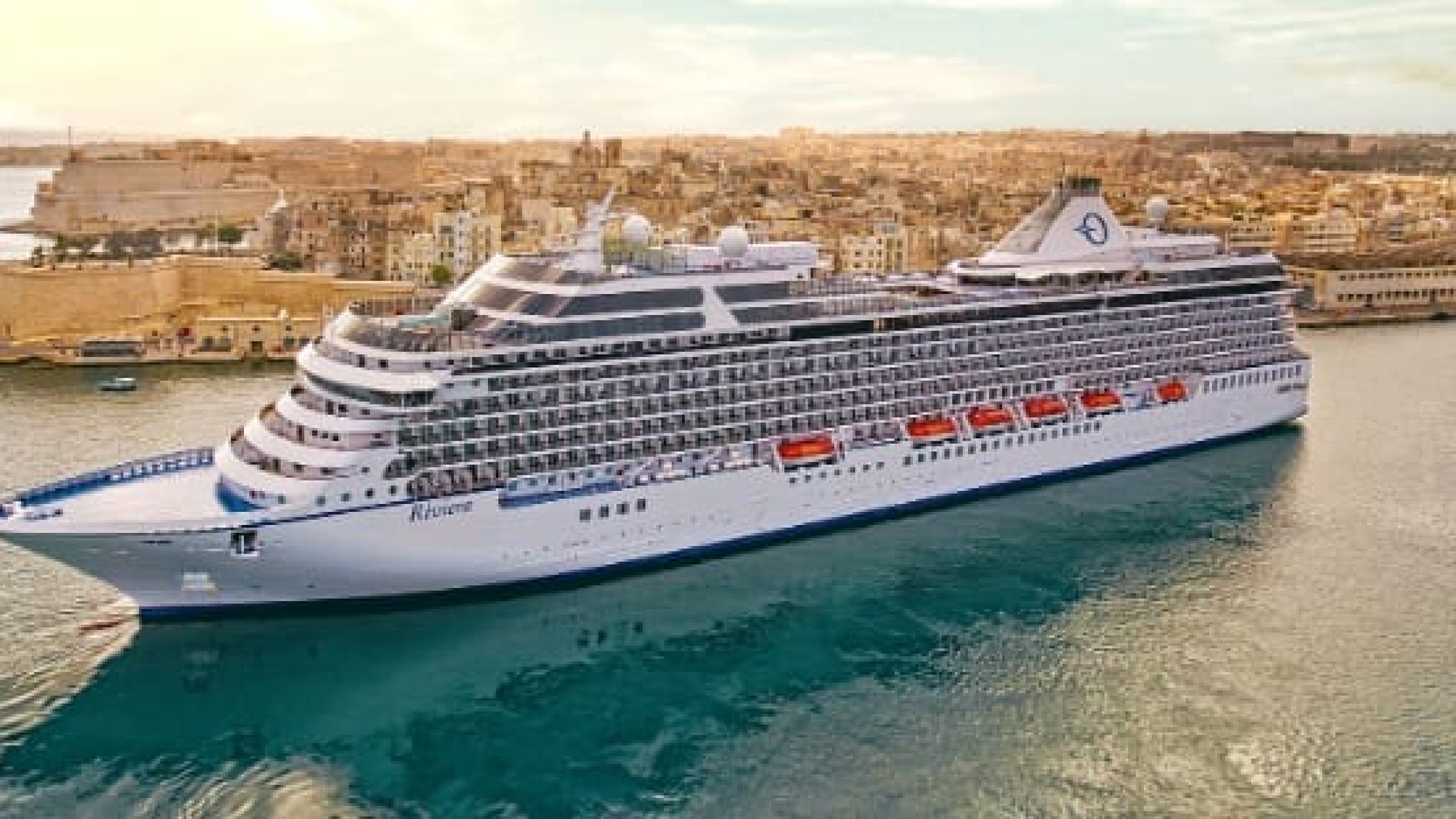 WhatsApp Image 2025-01-17 at 14.14.16