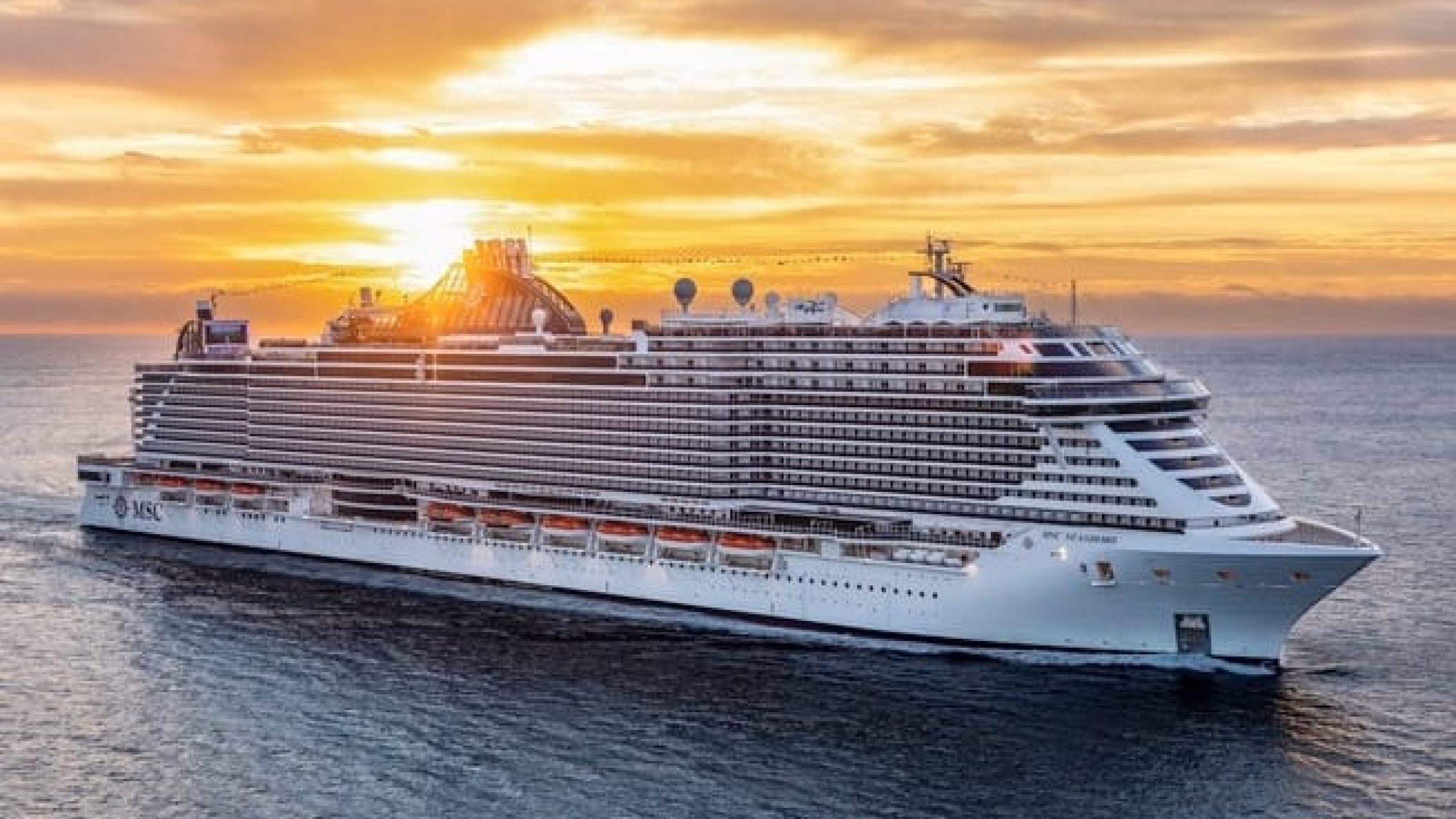 WhatsApp Image 2025-01-17 at 15.36.25