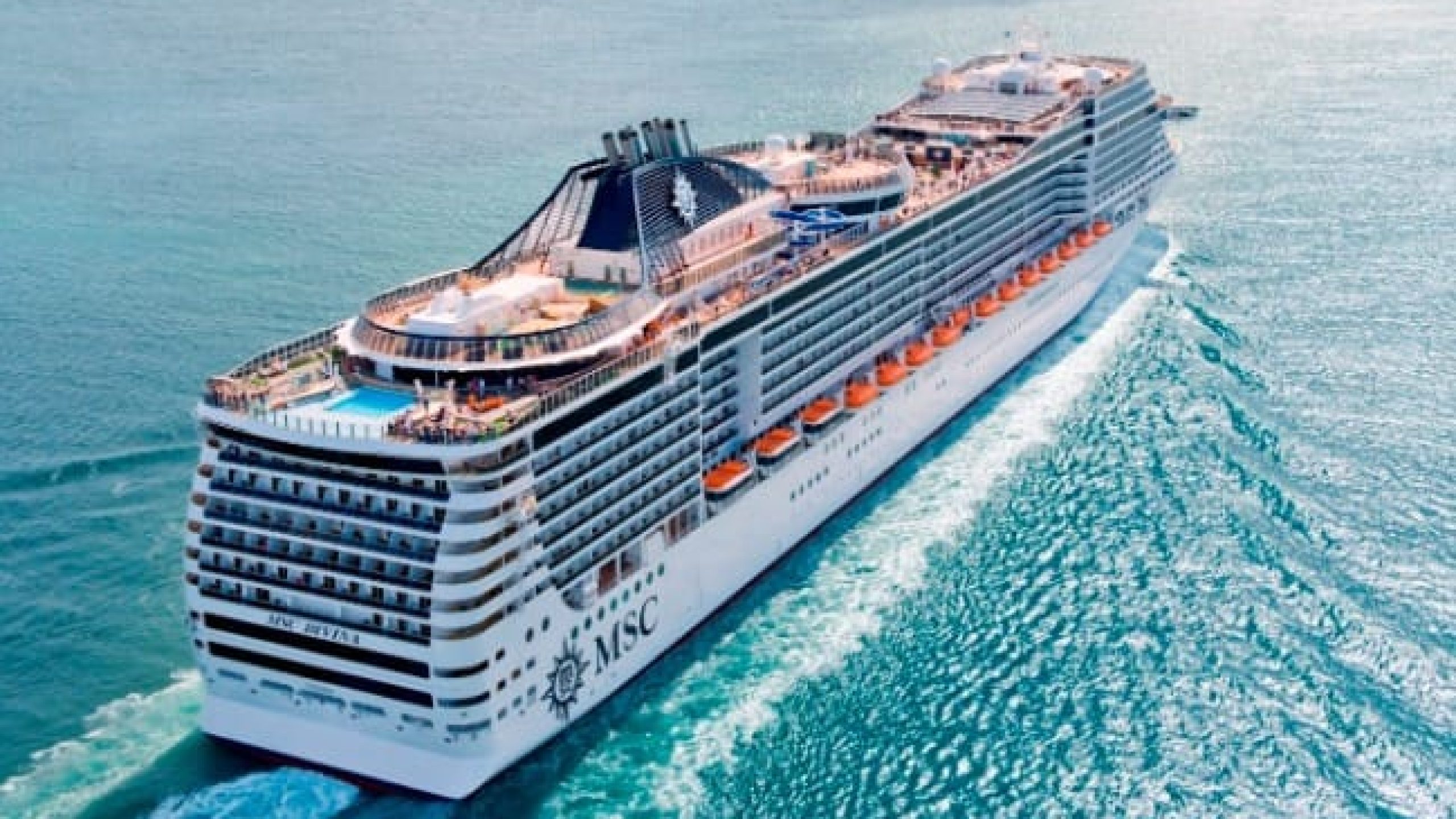 WhatsApp Image 2025-01-17 at 15.52.24