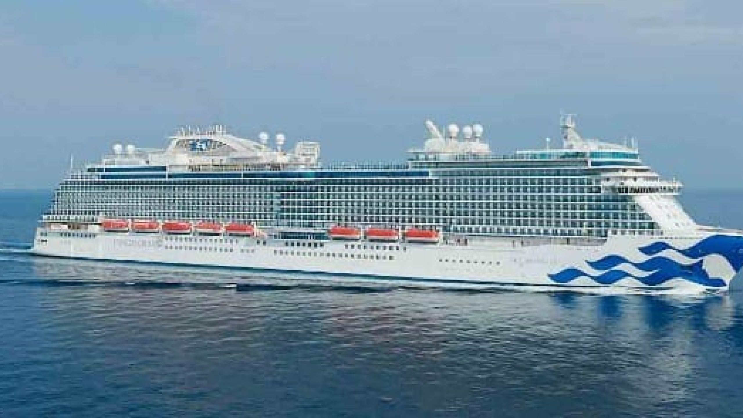 WhatsApp Image 2025-01-17 at 16.34.30