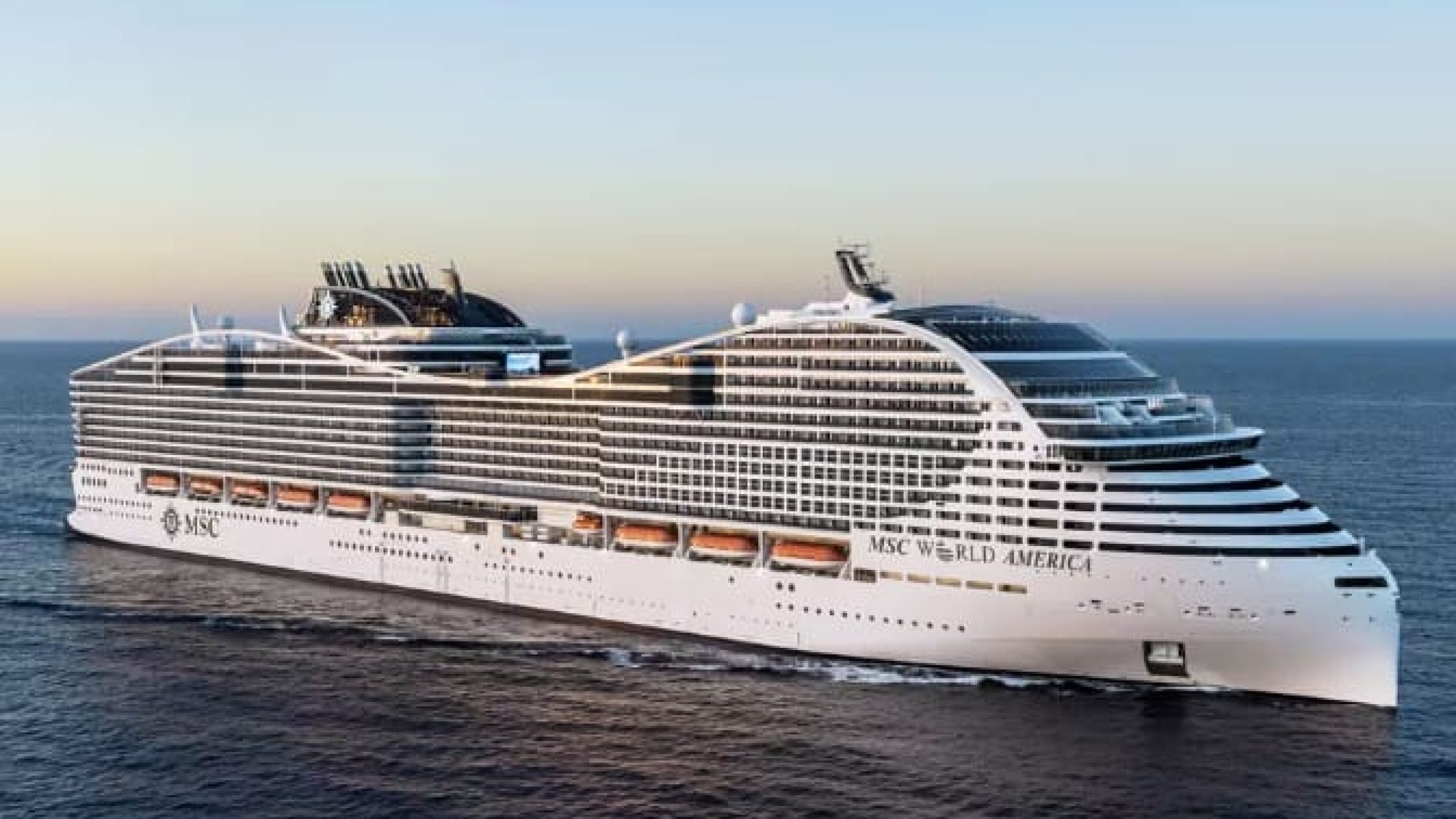 WhatsApp Image 2025-01-17 at 16.44.00