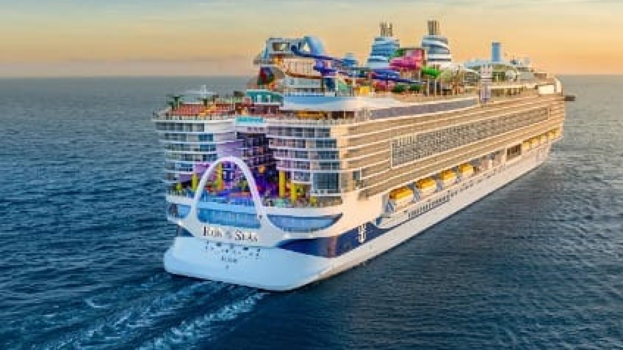 WhatsApp Image 2025-01-17 at 17.14.04