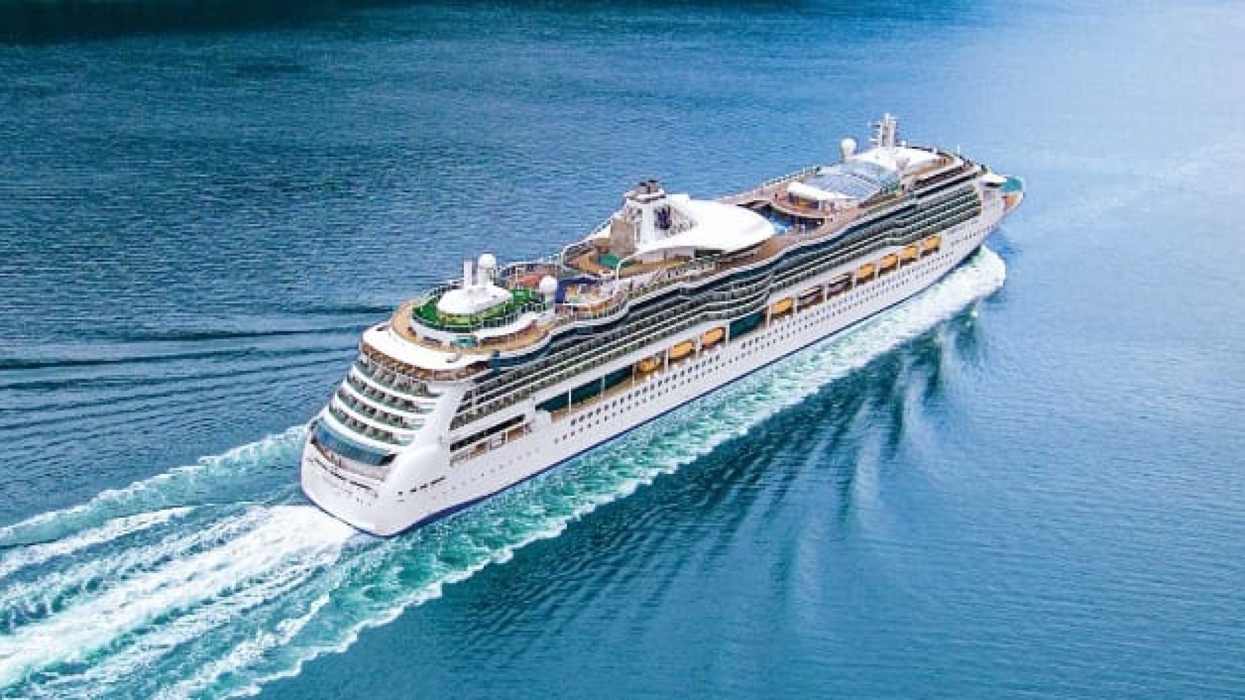 WhatsApp Image 2025-01-17 at 17.28.22