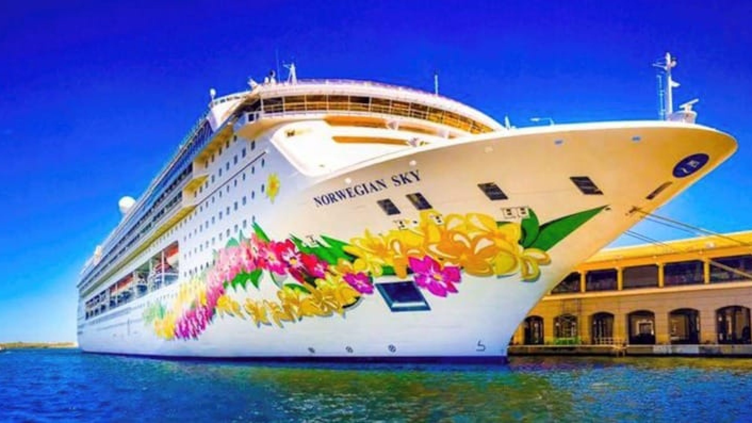 WhatsApp Image 2025-01-19 at 11.17.17