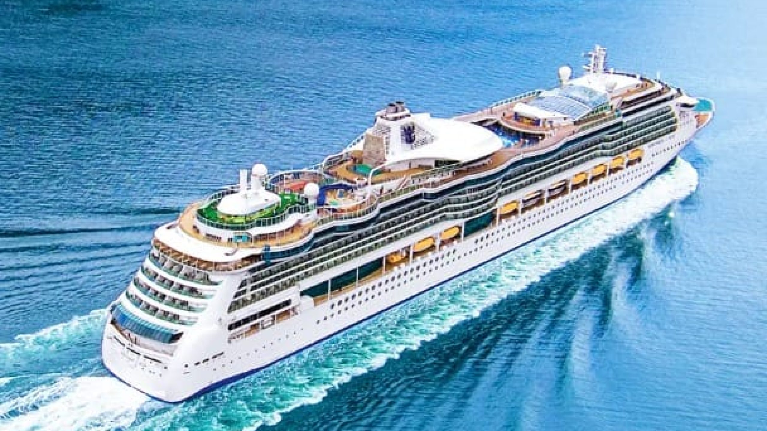 WhatsApp Image 2025-01-19 at 11.49.18