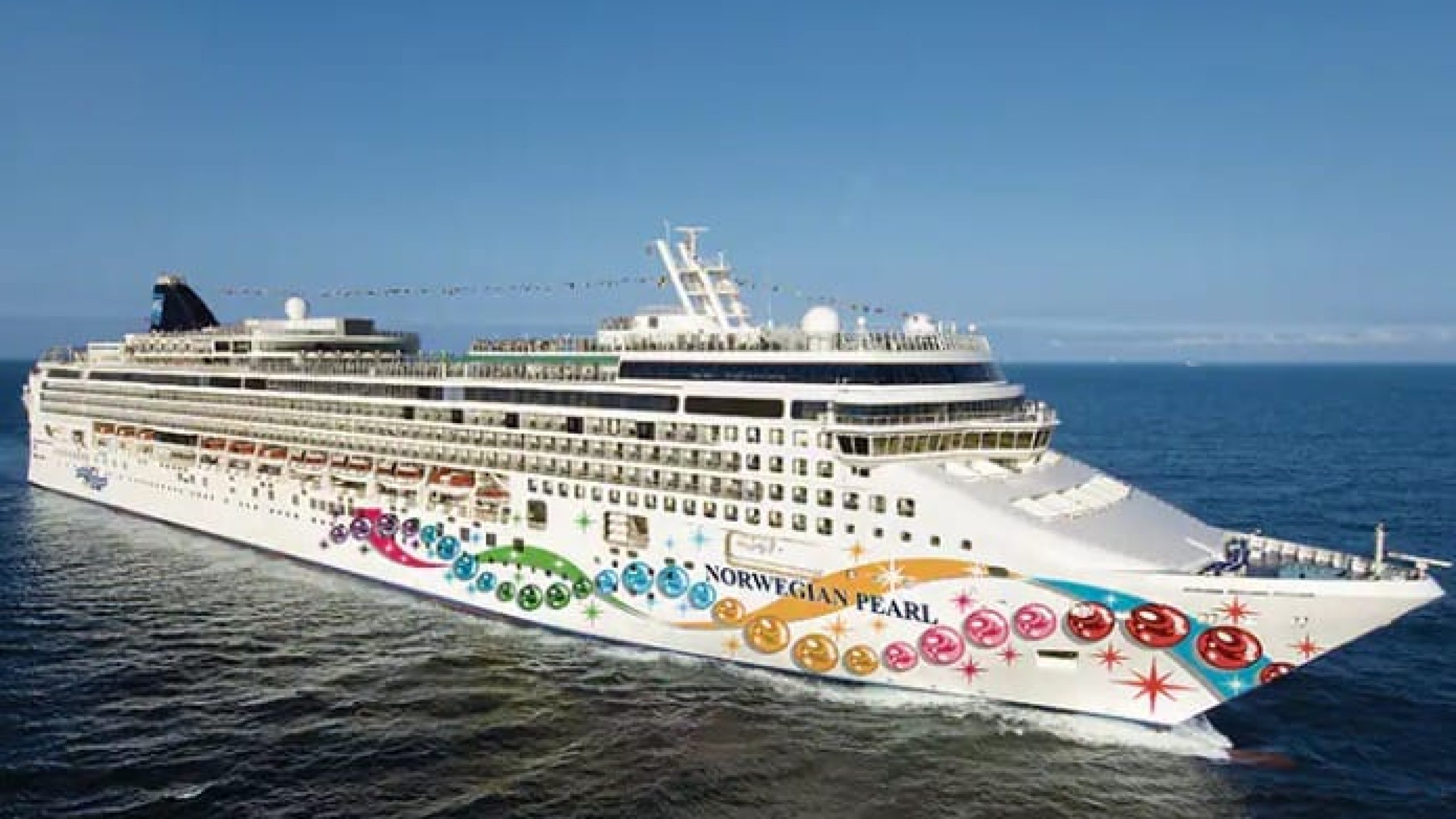 WhatsApp Image 2025-01-19 at 15.44.54