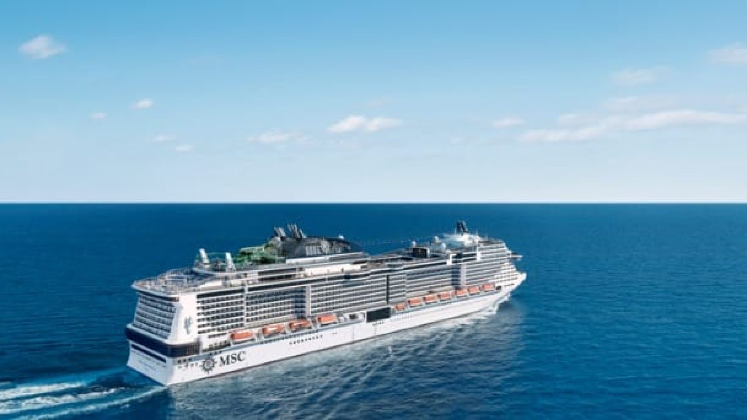 WhatsApp Image 2025-01-20 at 15.24.56