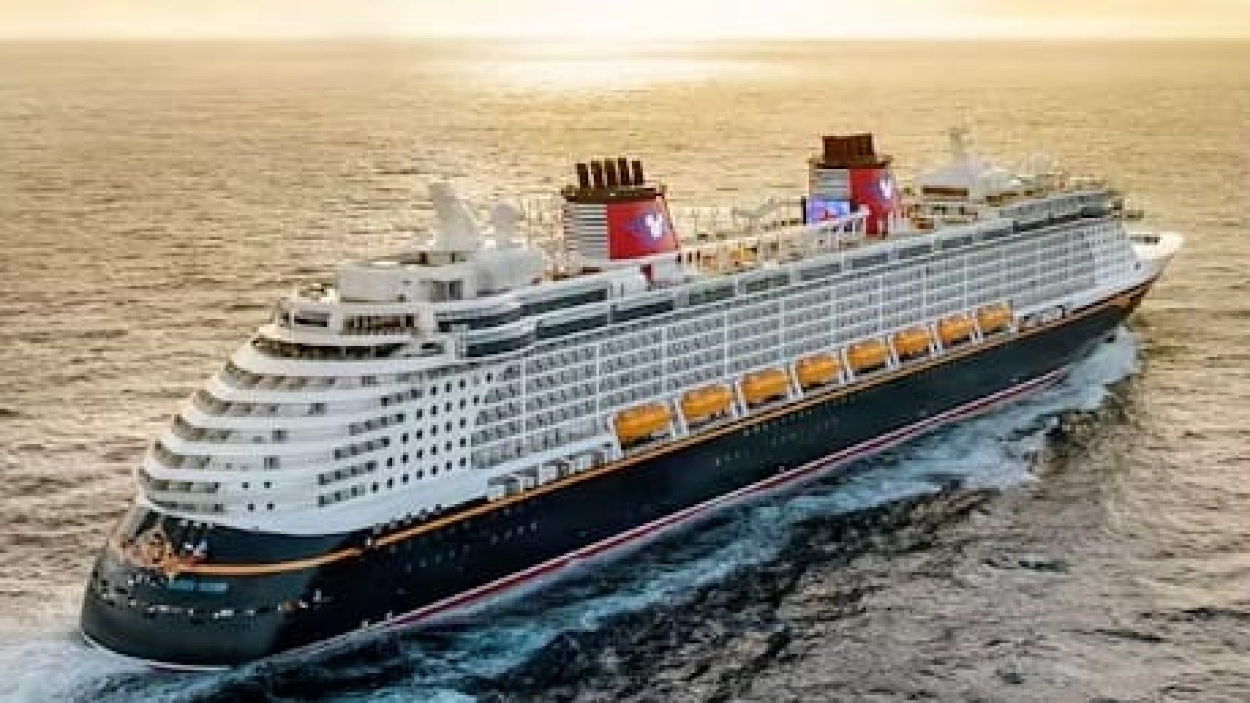 WhatsApp Image 2025-01-22 at 14.01.22