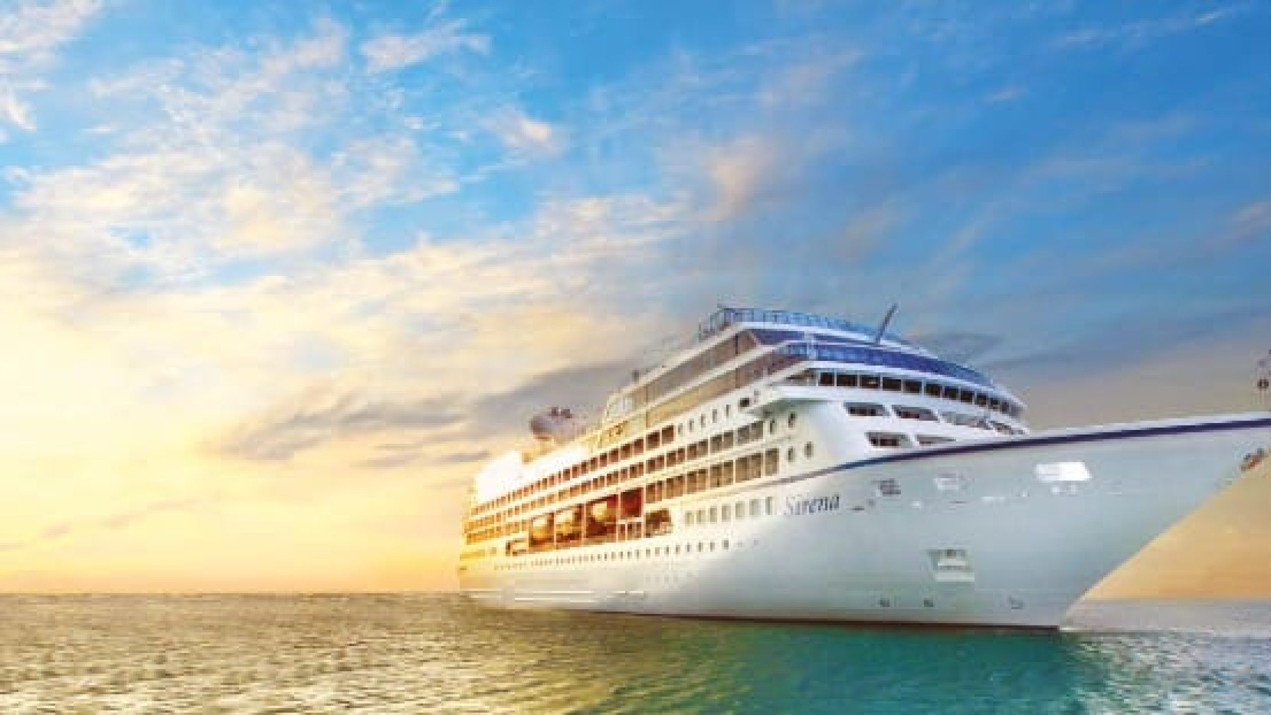 WhatsApp Image 2025-01-22 at 14.14.20